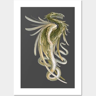 Winged Dragon with a Snake Tail Posters and Art